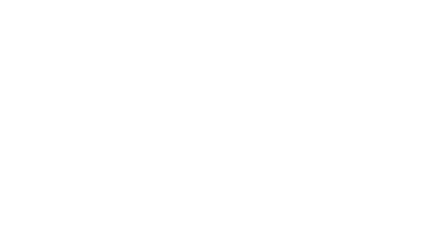 P.I.C.S.