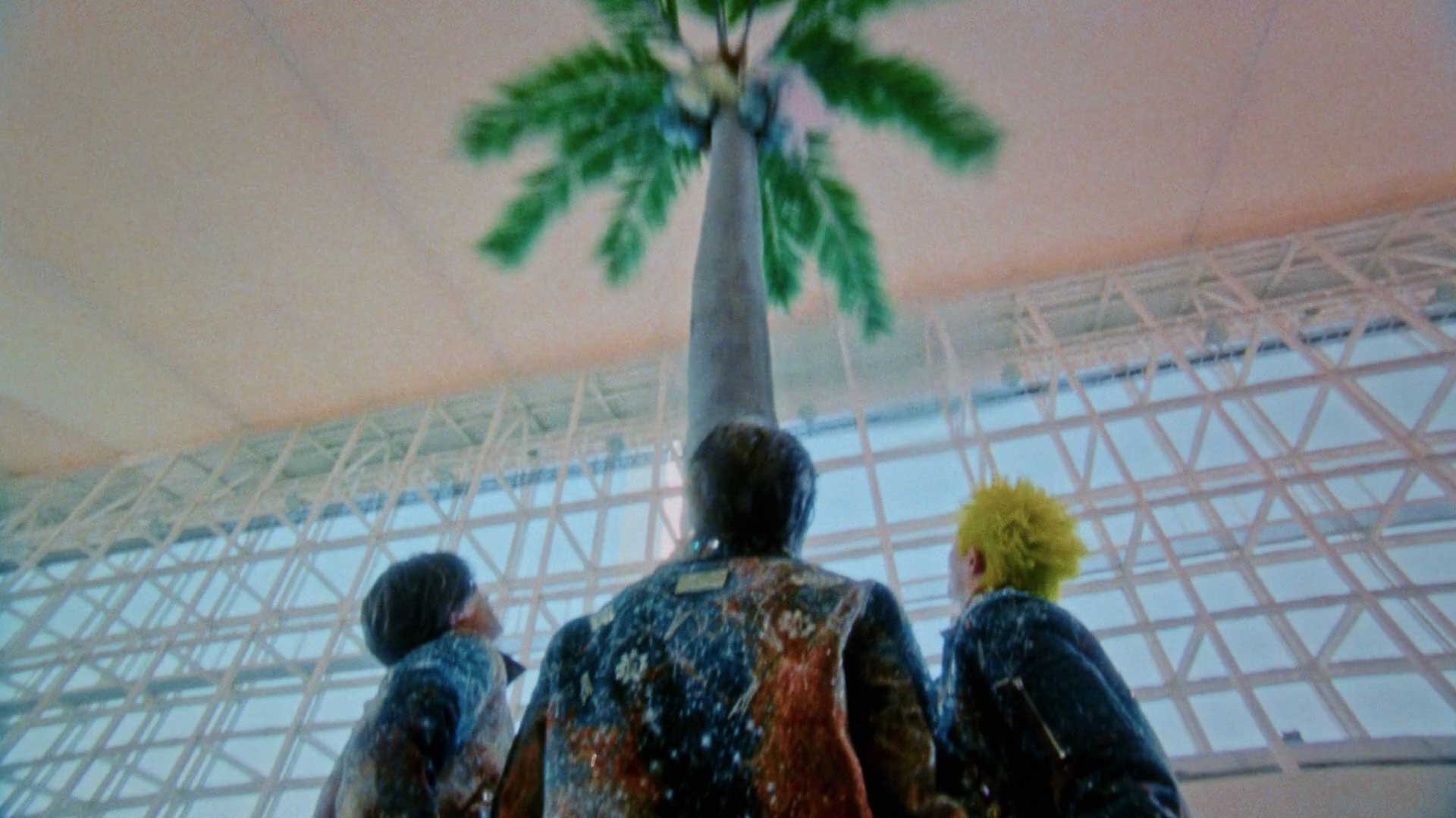 Number_i "3XL" MV - 6